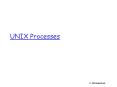 UNIX Processes PowerPoint PPT Presentation