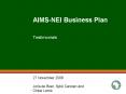 AIMS-NEI Business Plan PowerPoint PPT Presentation