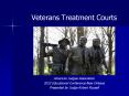 Veterans Treatment Courts PowerPoint PPT Presentation