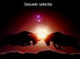 Sexuele selectie PowerPoint PPT Presentation