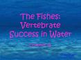 The Fishes: Vertebrate Success in Water PowerPoint PPT Presentation
