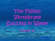 The Fishes: Vertebrate Success in Water