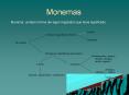 Monemas PowerPoint PPT Presentation