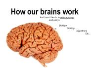 How our brains work