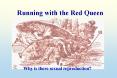 Running with the Red Queen PowerPoint PPT Presentation