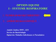 OPTION EQUINE I 