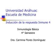 Universidad An