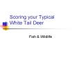 Scoring your Typical    White Tail Deer PowerPoint PPT Presentation