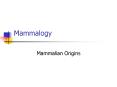 Mammalogy PowerPoint PPT Presentation