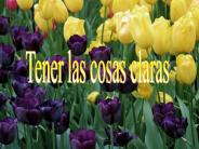 Tener las cosas claras
