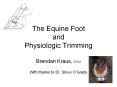 The Equine Foot and Physiologic Trimming PowerPoint PPT Presentation