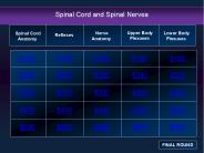 Spinal Cord and Spinal Nerves