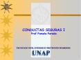 CONDUCTAS SEGURAS I Prof Pamela Parada PowerPoint PPT Presentation