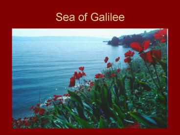 Sea of Galilee