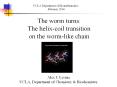 The worm turns: The helix-coil transition on the worm-like chain PowerPoint PPT Presentation