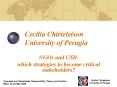 Cecilia Chirieleison University of Perugia PowerPoint PPT Presentation