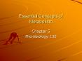 Essential Concepts of Metabolism PowerPoint PPT Presentation