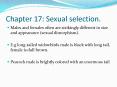 Chapter 17: Sexual selection. PowerPoint PPT Presentation