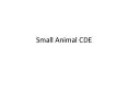 Small Animal CDE PowerPoint PPT Presentation