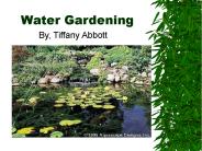 Water Gardening