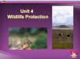 Wildlife Protection PowerPoint PPT Presentation