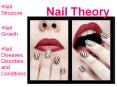 Nail Theory PowerPoint PPT Presentation