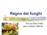 Regno dei funghi