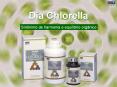 Dia Chlorella PowerPoint PPT Presentation