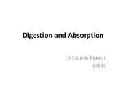Digestion and Absorption