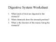 Digestive System Worksheet PowerPoint PPT Presentation