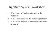Digestive System Worksheet