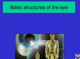 Basic structures of the eye PowerPoint PPT Presentation
