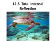 12.5 Total Internal Reflection PowerPoint PPT Presentation