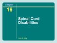 Spinal Cord Disabilities PowerPoint PPT Presentation