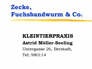 Zecke, Fuchsbandwurm