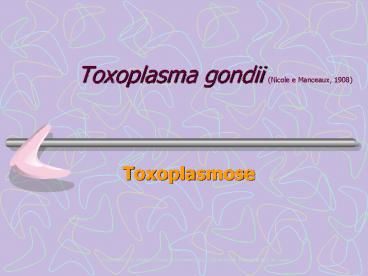 Toxoplasma gondii (Nicole e Manceaux, 1908)