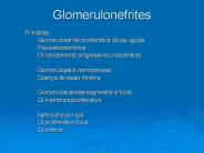Glomerulonefrites