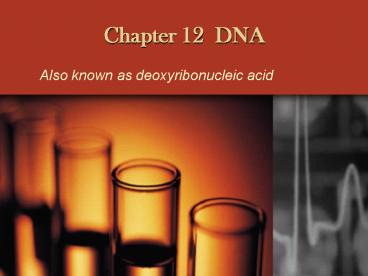 Chapter 12 DNA