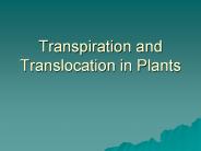 Transpiration and Translocation in Plants