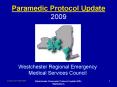 Paramedic Protocol Update 2009 PowerPoint PPT Presentation