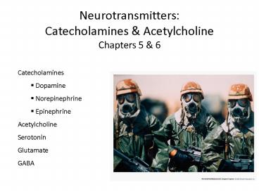 Neurotransmitters: Catecholamines