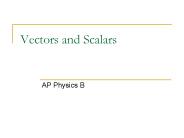 Vectors and Scalars