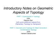 Introductory Notes on Geometric Aspects of Topology