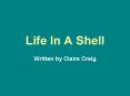 Life In A Shell PowerPoint PPT Presentation