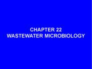 CHAPTER 22 WASTEWATER MICROBIOLOGY