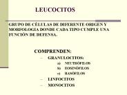 Diapositiva 1