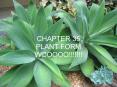CHAPTER 35 PLANT FORM WOOOOO!!!!!!! PowerPoint PPT Presentation