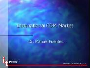 International CDM Market