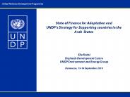 State of Finance for Adaptation and UNDP