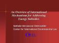 An Overview of International Mechanisms for Addressing Energy Subsidies PowerPoint PPT Presentation